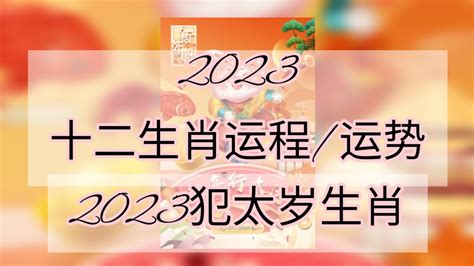 2023兔年運程1987|1987年2023年属兔人的全年运势及运程